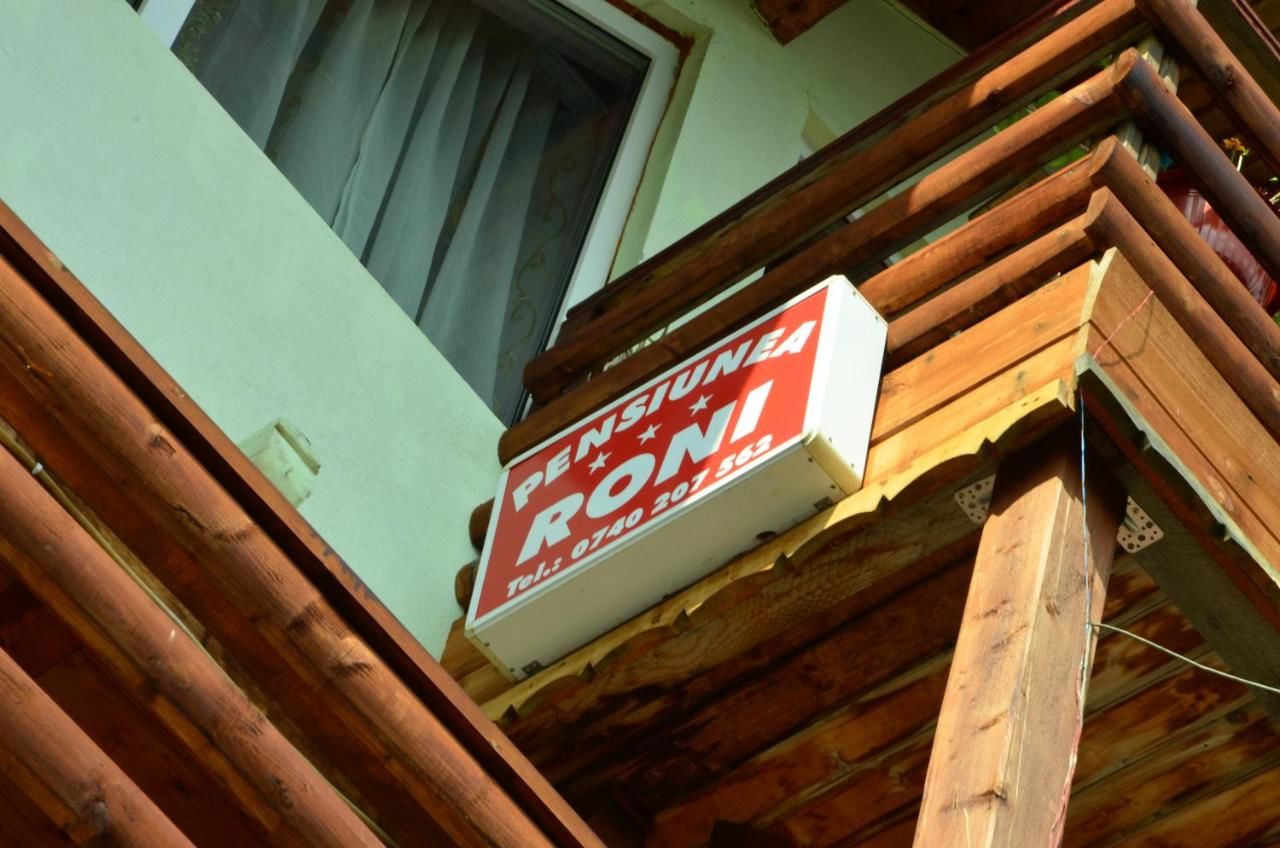 Гостевой дом Pension Roni Буштени-18