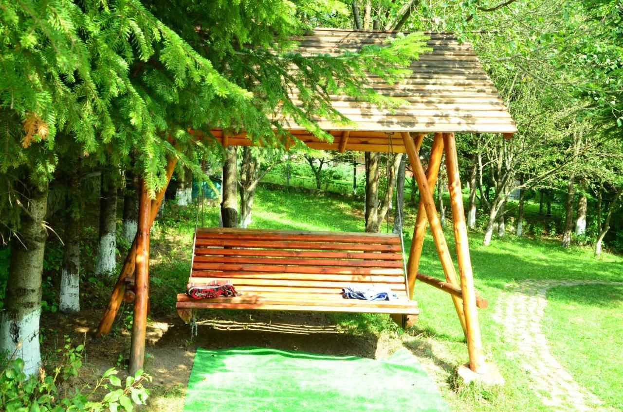 Гостевой дом Pension Roni Буштени-20
