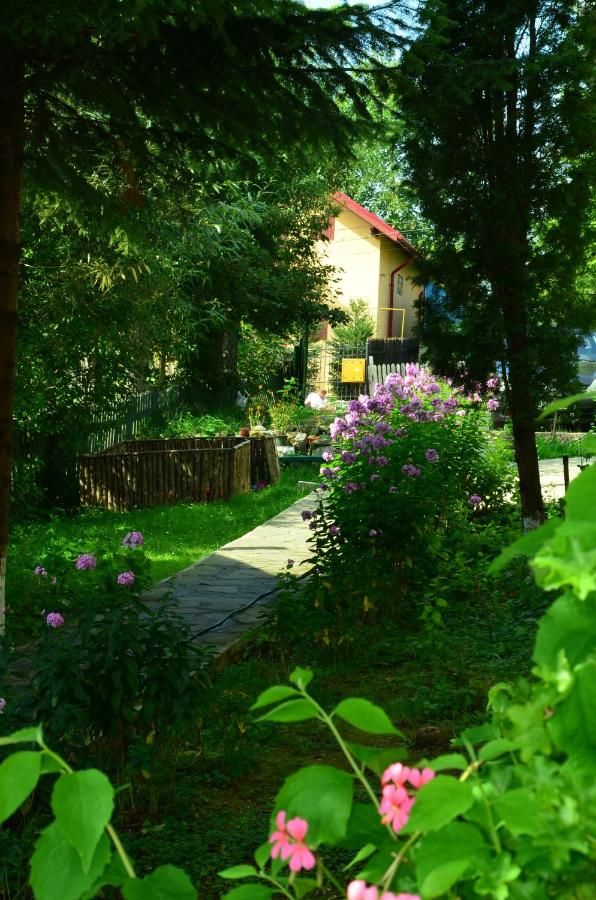 Гостевой дом Pension Roni Буштени-25