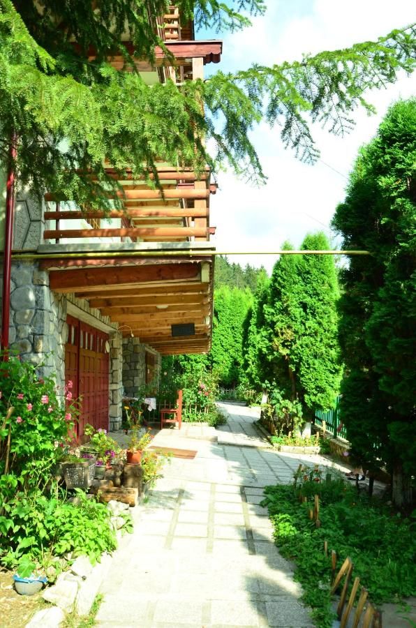 Гостевой дом Pension Roni Буштени-28