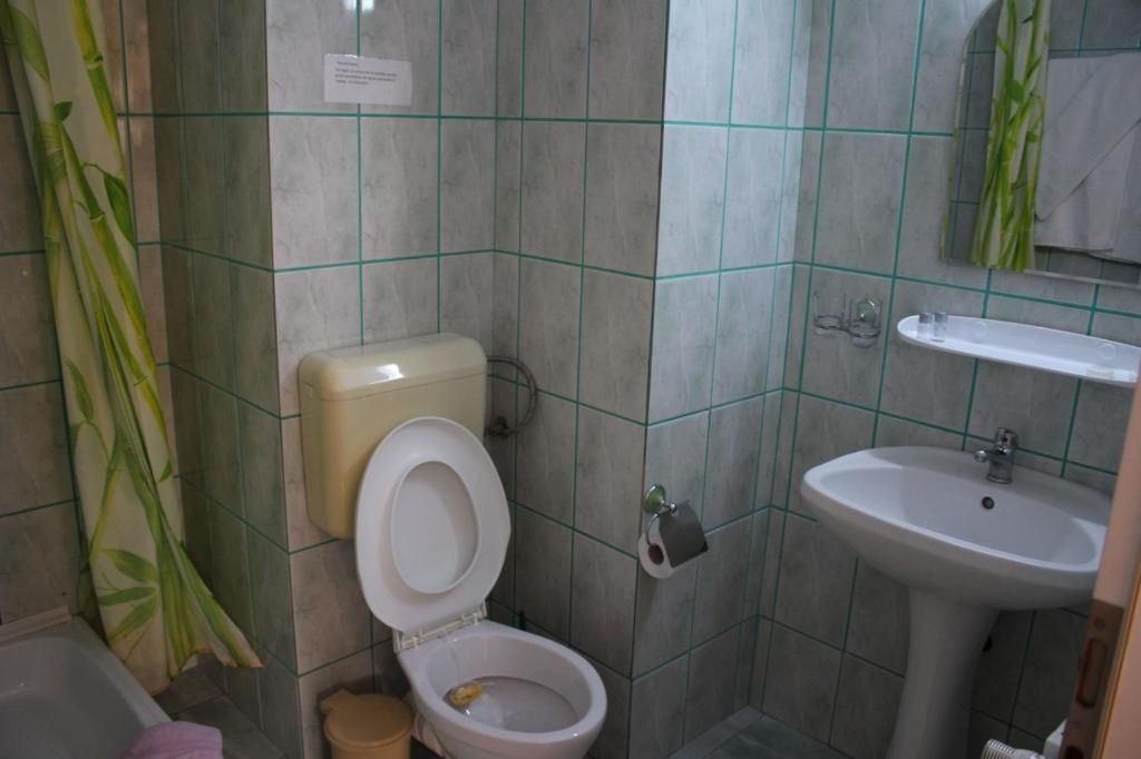 Гостевой дом Pension Roni Буштени-50